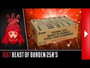 BEAST OF BURDEN 250'S